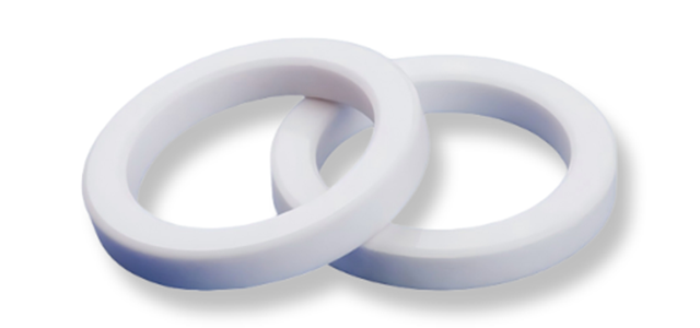 Zirconia Ceramic Seal Ring for Chemical Pumps
