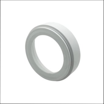 boron nitride ceramic ring