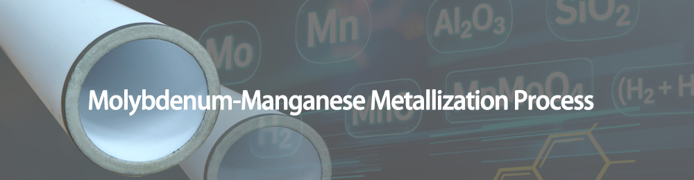 Mo-Mn (Molybdenum-Manganese) Metallization Process