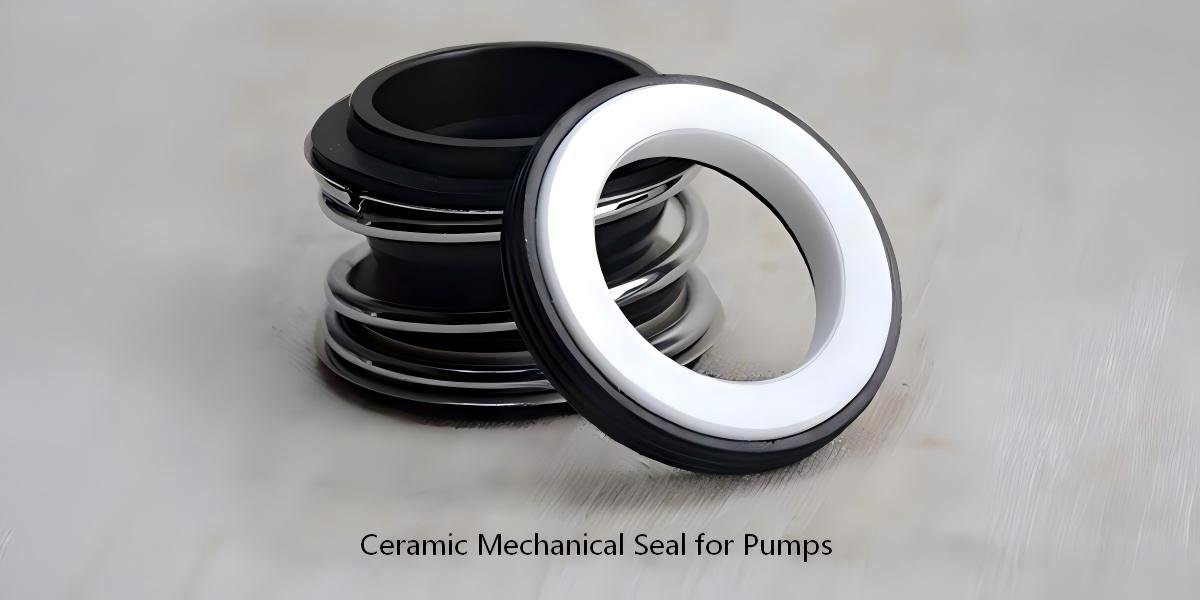 Ceramic Mechanical Seal for Pumps