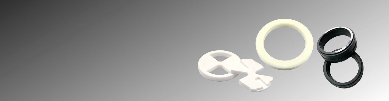 Ceramic Seal Rings